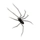 thumbnail image 3 of Decoración de calcomanías para el refrigerador de araña para decoración del exterior del refrigerador al aire libre accesorio de cocina para la cocina, 3 of 9