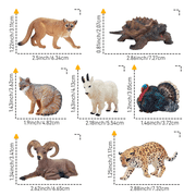 Toymany 14pcs Simulation Mini North American Animals Mod