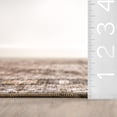 thumbnail image 6 of nuLOOM Davi Faded SplashGuard Machine Washable Area Rug, 8' x 10', Davi Dark Brown, 6 of 11