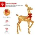 thumbnail image 4 of Juego de renos iluminados para exteriores HOYECHI, 4 pies, 145 LED, dorado, 4 of 9
