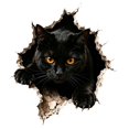 thumbnail image 2 of 3D Black Cat Wall Sticker, Haunting Glowing Eyes Cat Emerging from Torn Wall, Peel and Stick Halloween Decoration for Home and Office, Black Cat, 1 Pack, 2 of 5