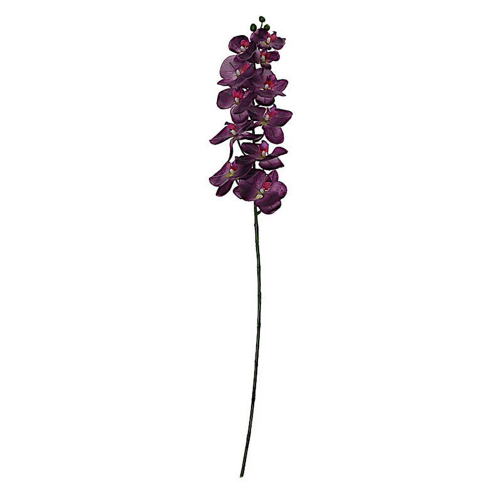 BalsaCircle 2 Eggplant Purple 40