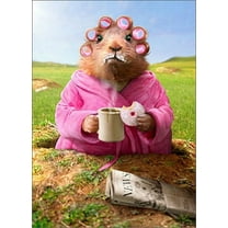 Avanti Press Morning Ground Hog Funny / Humorous Just for Fun Card