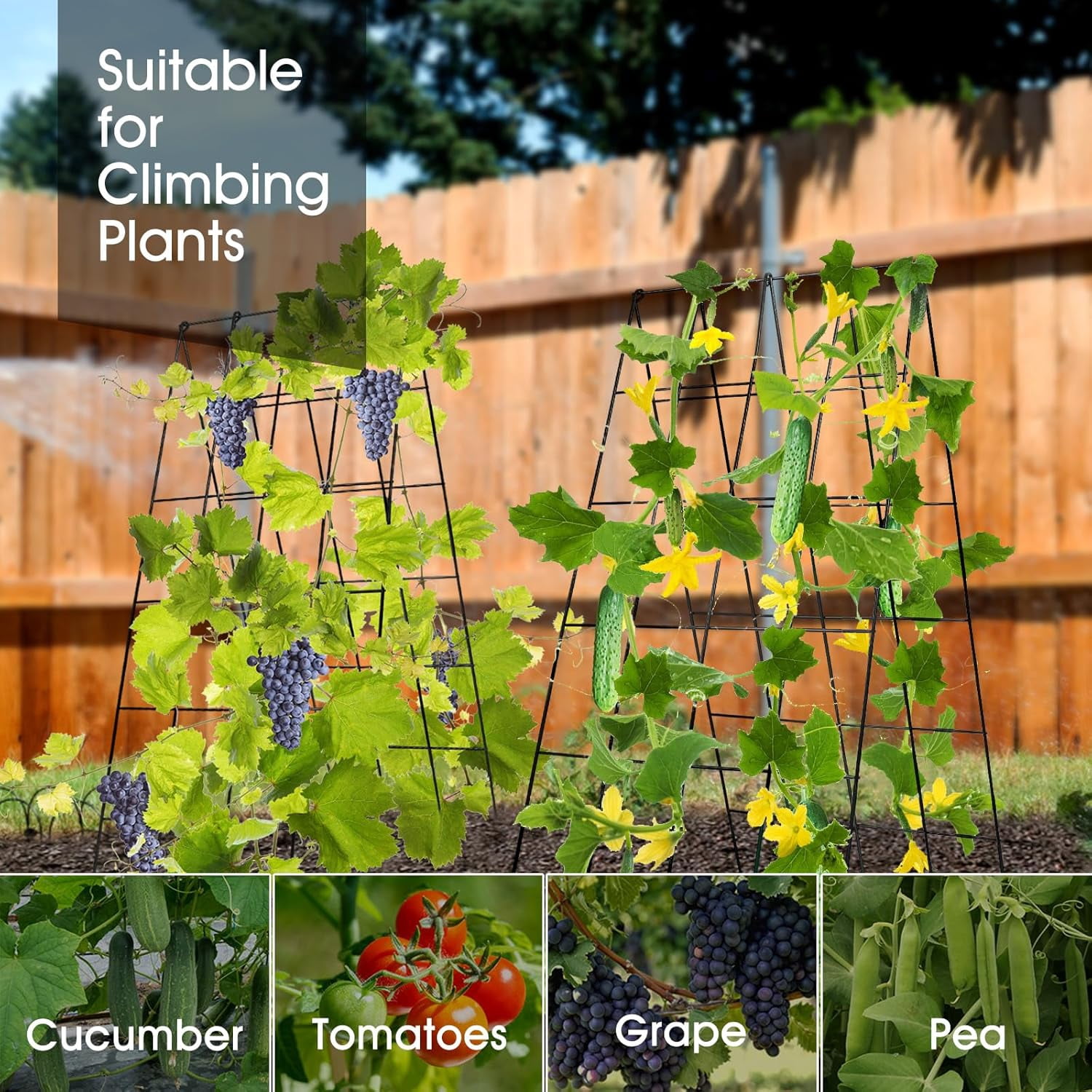 Cucumber Trellis for Raised Bed,  16.5 x 40 Inch Metal Trellis for Climbing Plants Outdoor with Plant Clips Twist Ties, Garden Plant A-Frame Trellis for Vegetable Pea Tomato (Black, 2 PCS)