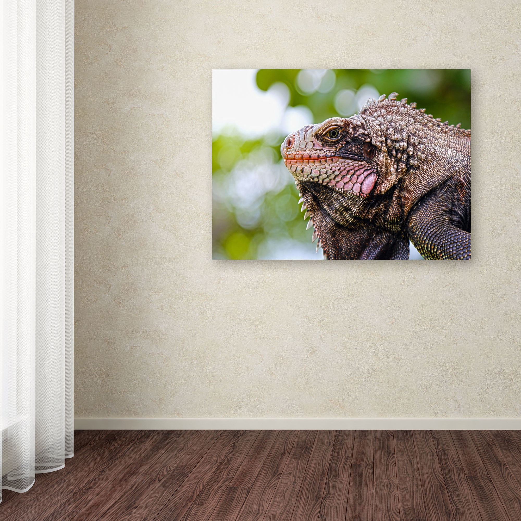 Trademark Fine Art "Virgin Islands 9" Canvas Art by CATeyes