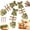3PCS Catnip Flavor, variant on Catnip & Silvervine Chew, Natural Fish-Shaped Dental Toy for Cats with Bonus Sticks for Cats Teeth Cleaning