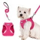 thumbnail image 1 of Juego de arneses para perros Rabbitgoo Step-In Small con correa, color rojo rosado, 1 of 8