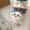 B, variant on Chikawas Plush Pendant Toy Fluffy Doll Stuffed Kawaii Figure Plushie Peluche Bag Pendant