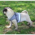 thumbnail image 2 of (M, gris) Conjunto de arnés y correa para perros liviano y antitirones, arnés tipo chaleco con clip trasero para perros pequeños y medianos, el mejor collar para perros para usar, 2 of 5