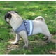 thumbnail image 2 of (M, gris) Conjunto de arnés y correa para perros liviano y antitirones, arnés tipo chaleco con clip trasero para perros pequeños y medianos, el mejor collar para perros para usar, 2 of 5