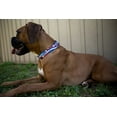 thumbnail image 2 of Country Brook Petz® Star Spangled Everyday Dog Collar - Made In The USA, Medium, 2 of 6