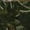 Forest Camo Green, variant on KingSize Men's Big & Tall Lightweight Jersey Open-Bottom Sweatpants