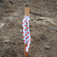 thumbnail image 2 of [NO ADHESIVE] Presco Polka Dot Patterned Roll Flagging Tape: 1-3/16 in. x 300 ft. (Red and Black Polka Dot), 2 of 4