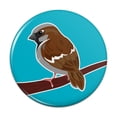 thumbnail image 1 of Sparrow Little Brown Bird on Stick Pinback Button Pin, 1 of 4