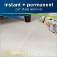 thumbnail image 2 of Bissell PET PRO OXY Stain Destroyer for Carpet and Upholstery, 22 oz, 2 pack, 17739, 2 of 6