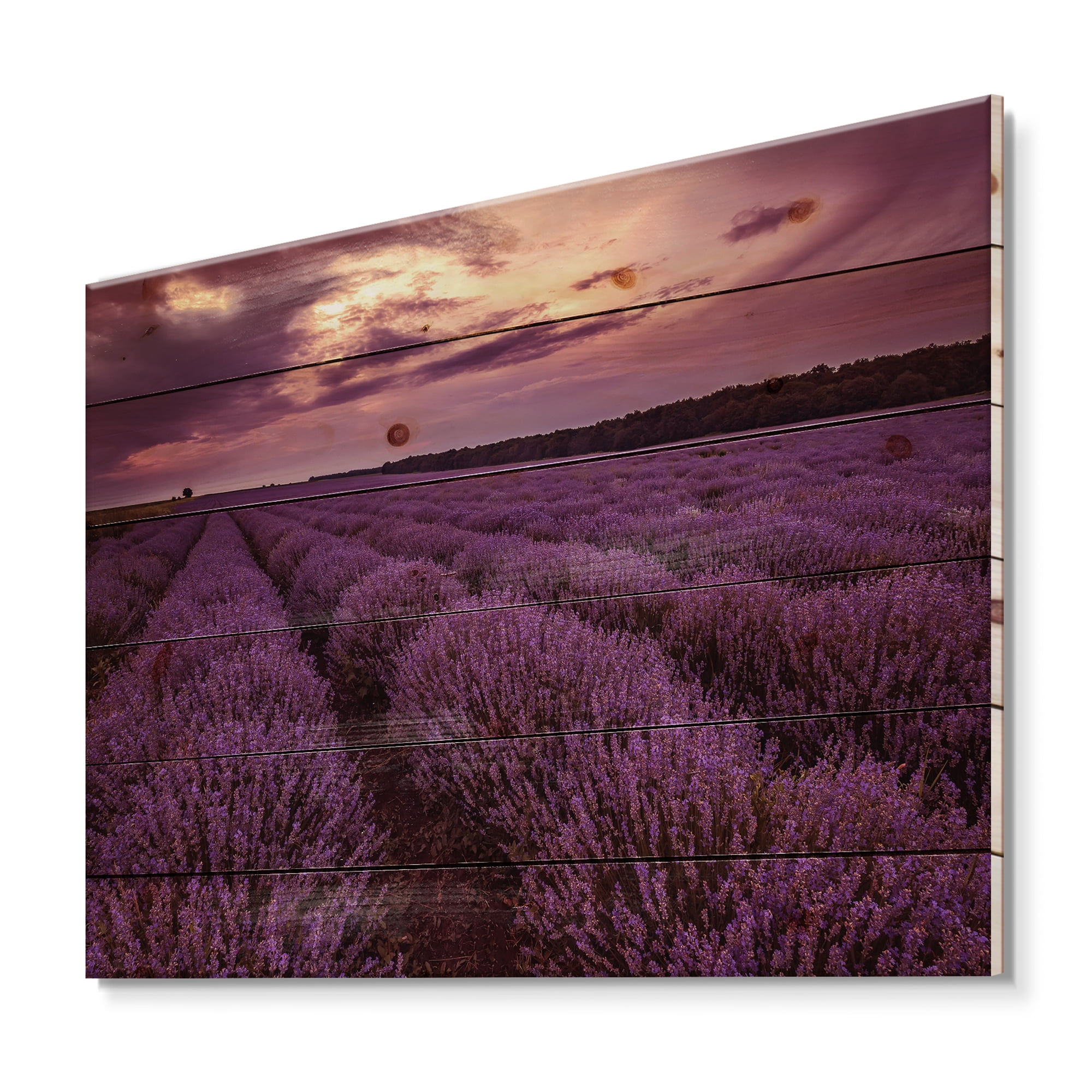 Designart 'Dramatic Clouds and Sunrise Over Lavender Field III' Farmhouse Print on Natural Pine Wood