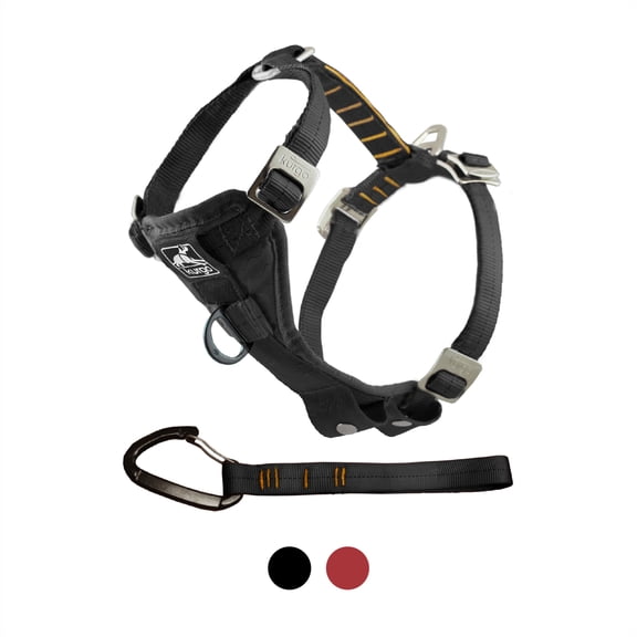 Kurgo Tru-Fit Smart Dog Harness, Quick Release Buckles, Front D-Ring for No Pull Training
