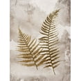 thumbnail image 2 of Grey, Jace 19x24 White Modern Wood Framed Museum Art Print Titled - Mute Ferns, 2 of 4