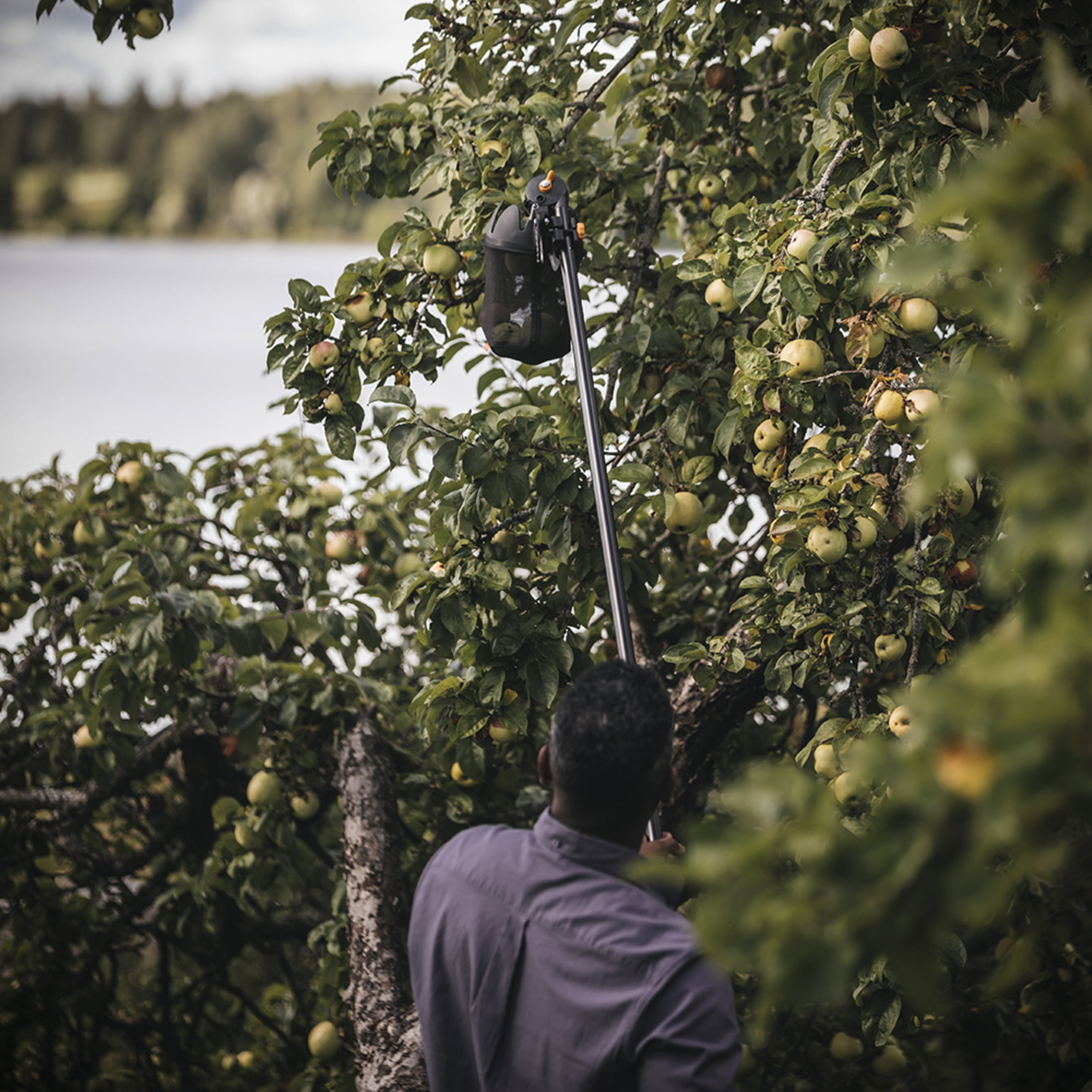 Fiskars Fruit Picker Basket