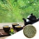 thumbnail image 3 of Aguja de pino para té Té de bienestar de aguja de pino a base de hierbas naturales Sin productos químicos Tmvgtek Para estrenar, 3 of 9