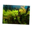 thumbnail image 1 of Esquirla Aquarium Background 3D Print Poster Tank Single Sided Sticker Grass 76x46cm M, 1 of 8