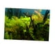 thumbnail image 1 of Fondo de acuario Impresión 3D Gloria Etiqueta de un lado Hierba 122x46cm Vinilo decorativo pecera, 1 of 9