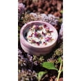 thumbnail image 4 of Rose Natural Soy Candle in Plaster Cup, 4 of 6