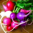 thumbnail image 3 of 300 PURPLE PLUM RADISH Raphanus Sativus White Flesh Root Vegetable Seeds, 3 of 4