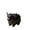 A, variant on Cow Shaped Resin Planter for Succulents - Cute Yak Desktop Flower Pot for Home Office (5.9 x 3.1 x 2.4 in)
