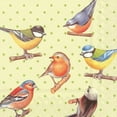 thumbnail image 1 of Set Of 20 Luncheon Birds On Dots Napkins, 1 of 1