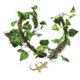 thumbnail image 1 of With Suction Cups Reptile Flexible Branch, Reptile Climbing Branch, 6.89ft Vine Reptile Rattan For Reptile, 1 of 8