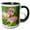 Black/White, variant on 3drose, Ruby-throated Hummingbird Young Male Feeding on Hibiscus, Texas, Usa, 11oz Two-tone Green Mug