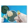 thumbnail image 4 of Latex Examination Gloves, Powder-Free, Small, 5 mil Thick, 9.45" Long, Cream, 100/Box | Bundle of 10, 4 of 4