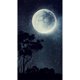 thumbnail image 1 of Moon star tree 5D DIY Diamond Painting Kits Resina Full Round Home Wall FLhrweasw Nuevo, 1 of 9