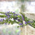 thumbnail image 4 of Hyssop Seed - Blue Hyssopus Officinalis Herb Seeds - 2000 Seeds, 4 of 5