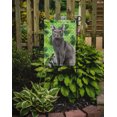 thumbnail image 2 of Carolines Treasures CK3061GF Blue Russian Shamrock Garden Size Flag, 2 of 3