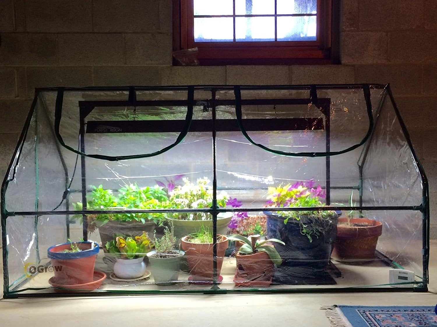 Quictent Garden Green House Mini Portable Hot House 71"WX 36"D X 36"H... by