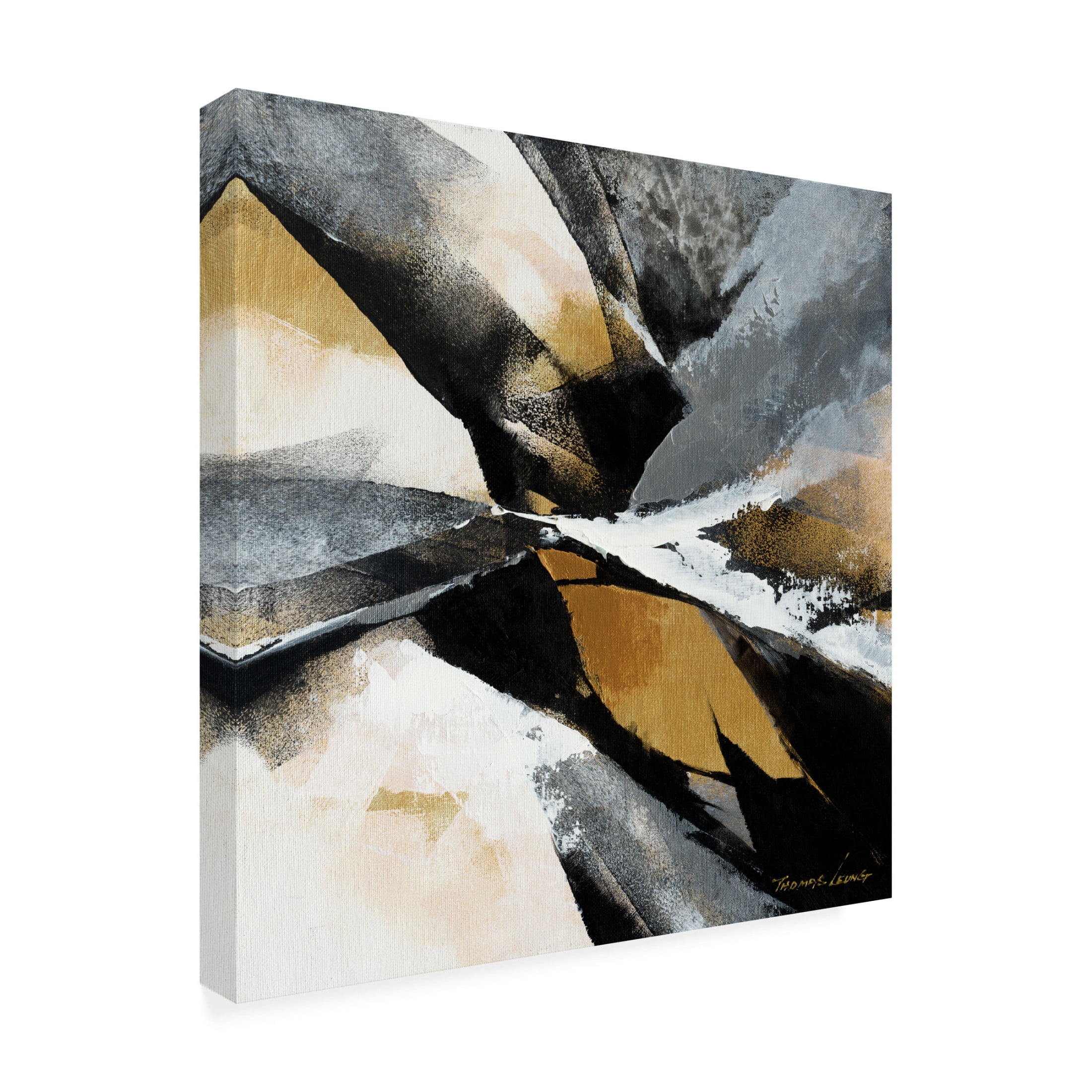 Canvas Wall Art - Thomas Leung 'Gold Fusion 2' Wall Art for Living Room, Bedroom, or Office Décor by Trademark Fine Art - 14 x 14 Inches