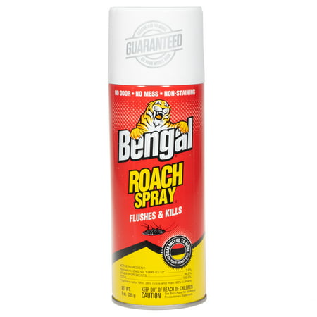 Bengal Roach Spray, Pest Control Insect Killer Spray and Roach Treatment, 9 Oz. Dry Aerosol (Best Bug Spray For Roaches)
