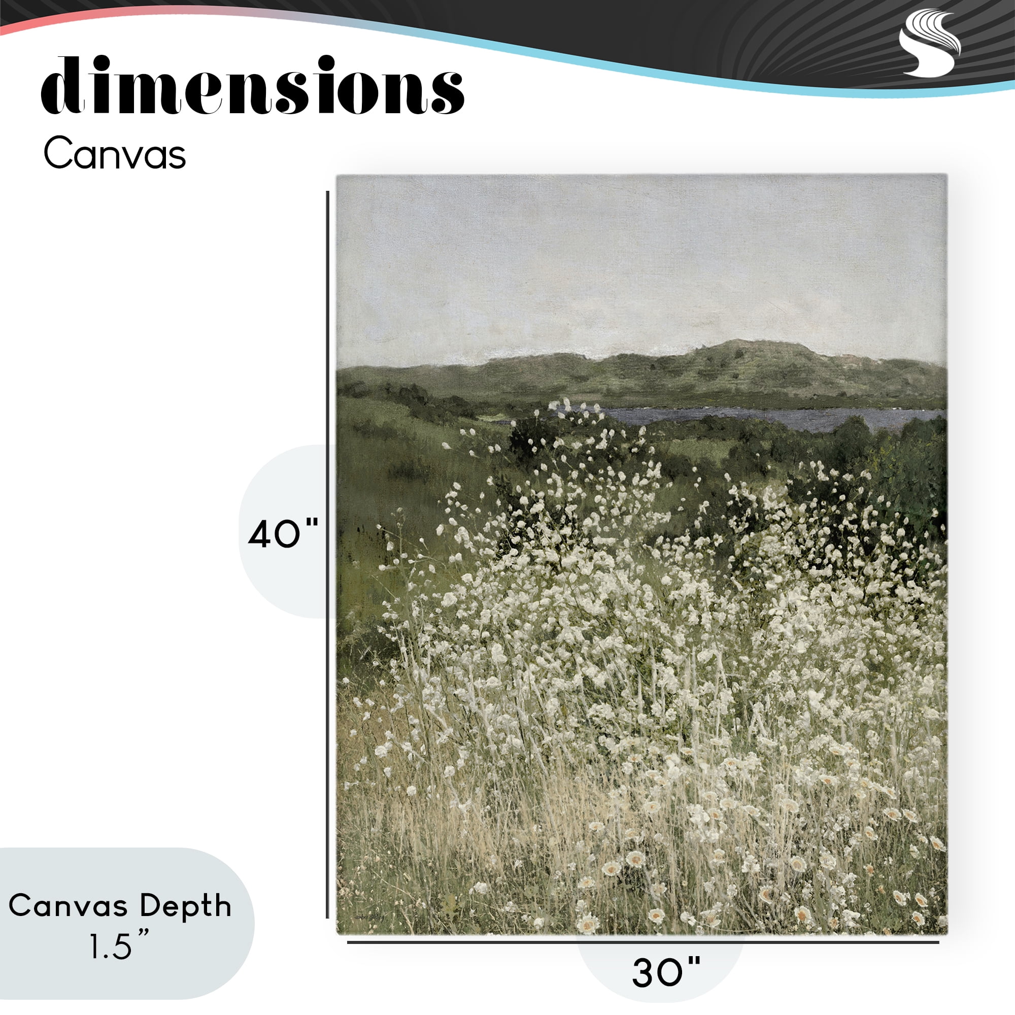 Stupell Industries Sunlit Meadow of White Daisies Canvas Wall Art, design by Amber Sterling