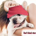thumbnail image 4 of Black Gorra de béisbol para perro mascota, gorra deportiva, sombrero para exteriores, protección solar, gorra de verano e invierno, 4 of 4