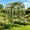 9 horizontal pipe, variant on Outdoor Garden Arch Trellis with Climbing Net and Plant Ties, Heavy-Duty PE-Coated Metal Arbor for Cucumbers, Grapes, Roses and Climbing Vines