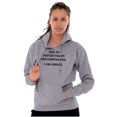 thumbnail image 5 of Funny I Am Awake Sarcastic Attitude Hoodie Sweatshirt Women Men Brisco Brands L, 5 of 6