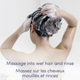 thumbnail image 2 of Dove Anti Dandruff Dryness & Itch Relief Shampoo, 2 of 8