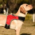 thumbnail image 3 of Arnés para perros Chaleco acolchado cómodo ajustable reflectante para medianos y grandes, 3 of 8