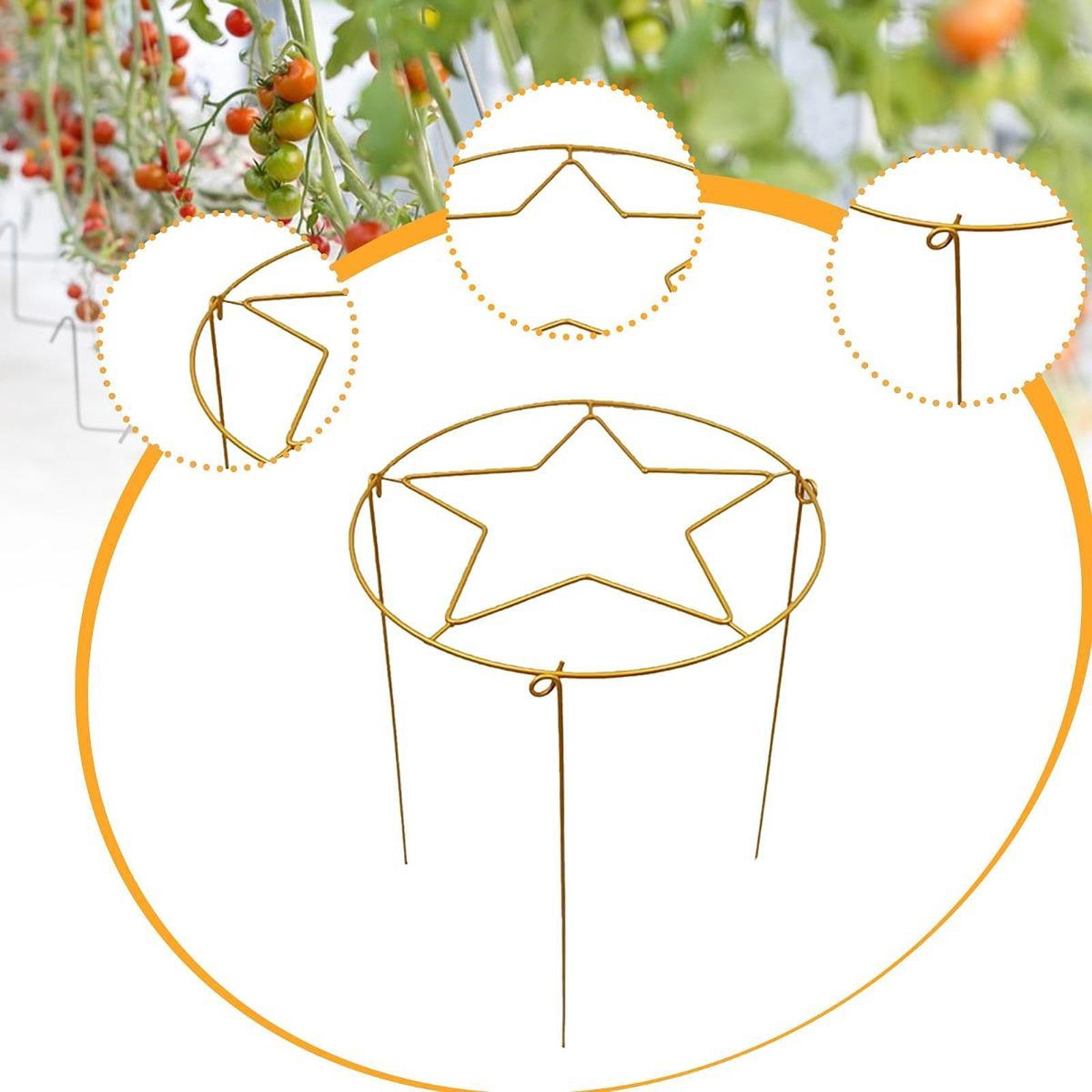 koolsoo 3 Pieces Plant Support Brace Metal Indoor Decorative Potted Flower Garden Ivy Roses Pothos Houseplants Climbing Holder Golden