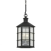 F2526-FRN-Troy Lighting-Lake County - 4 Light Outdoor Lantern