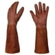 thumbnail image 1 of Guantes largos de cuero para jardinería oso de fresa para hombres y mujeres, 1 of 5