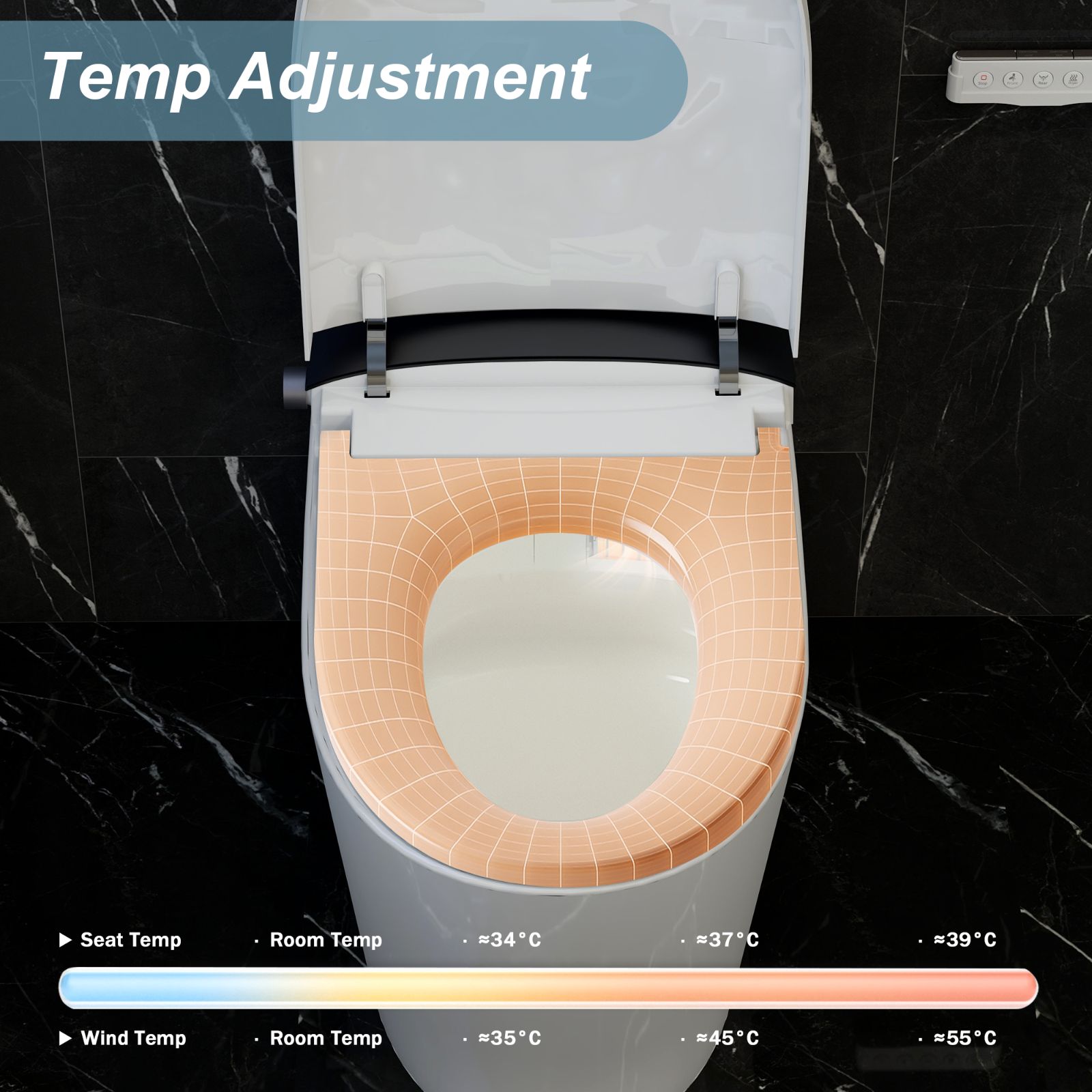 Bidet Toilets