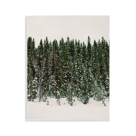 Stupell Industries Winter Forest Grove Landscape Photography Unframed Art Print Wall Art, 11 x 14